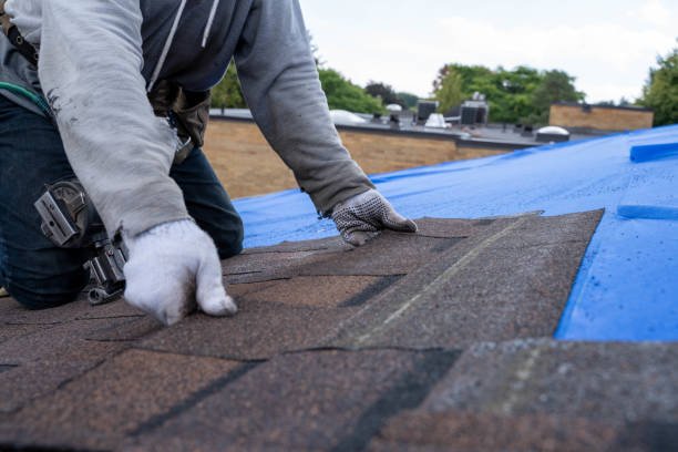 Best Roof Repair Specialists  in Wadley, GA